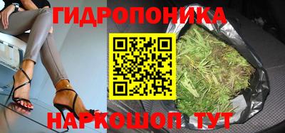 прущие крисы Конаково