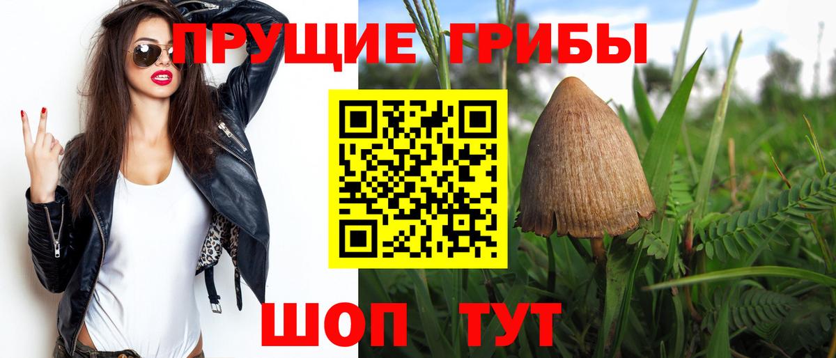 Псилоцибиновые грибы Magic Shrooms Сосновый Бор